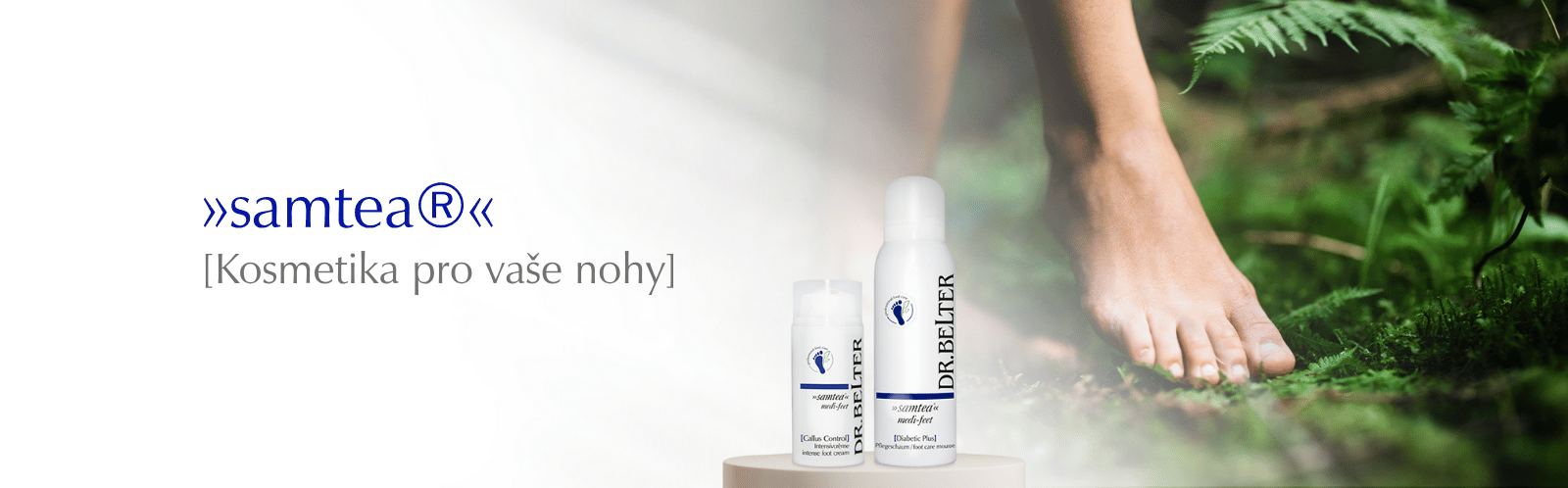 Linie-Samtea-nohy-head